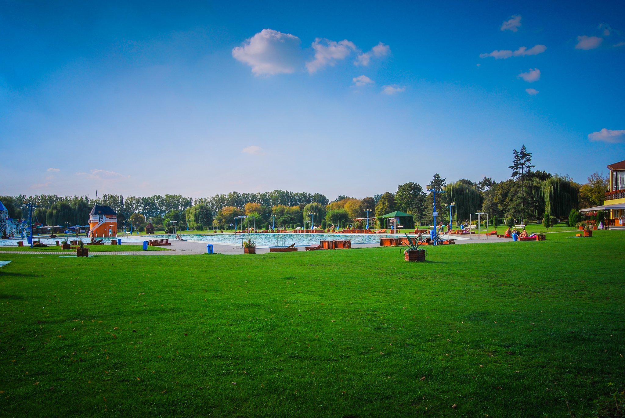 artificial grass around pool