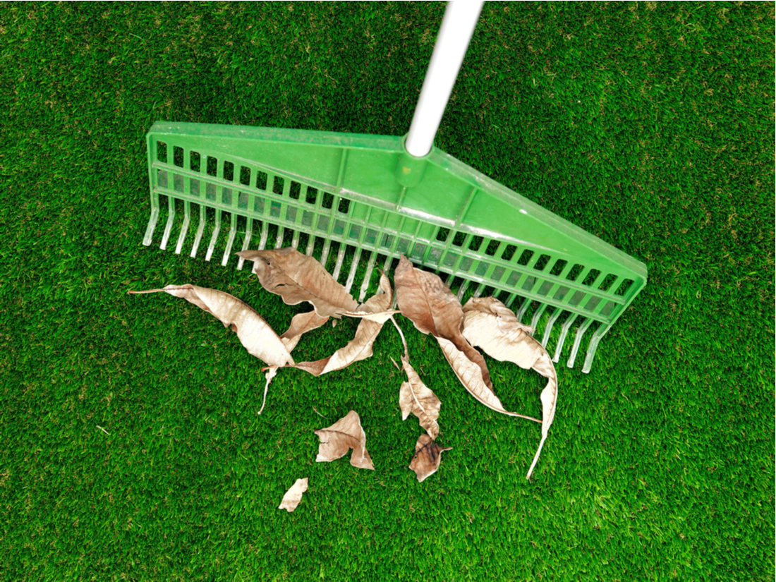 Can You Vacuum Artificial Turf