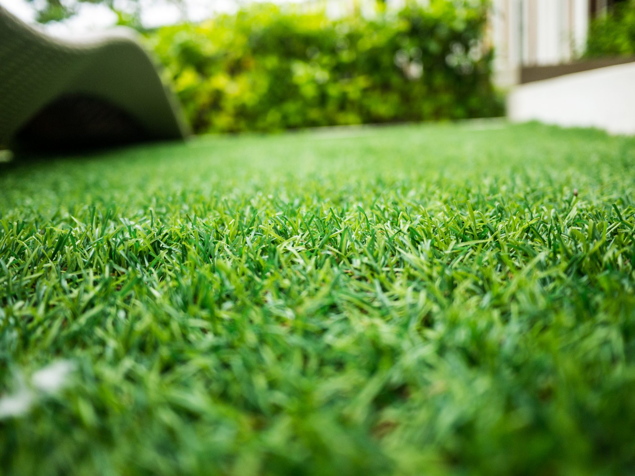 artificial grass infill