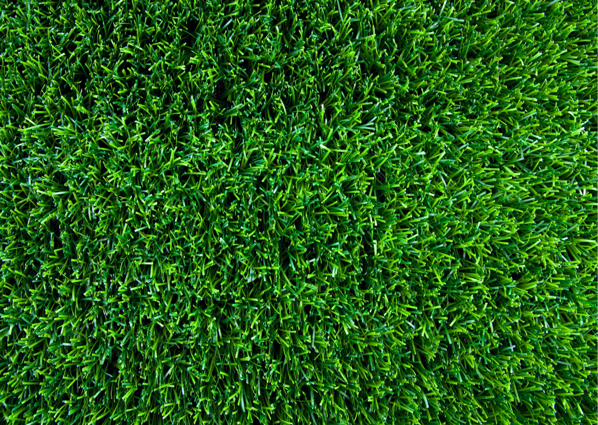 Face Weight Artificial Grass