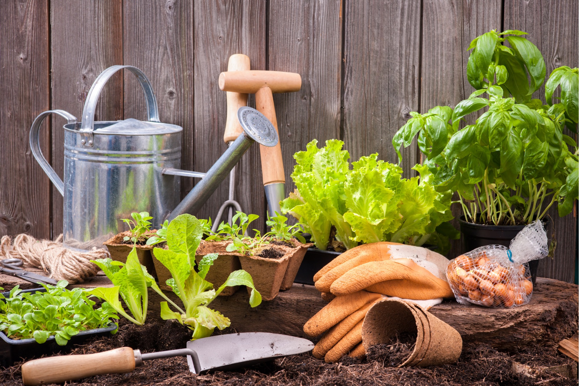 gardening potting bench