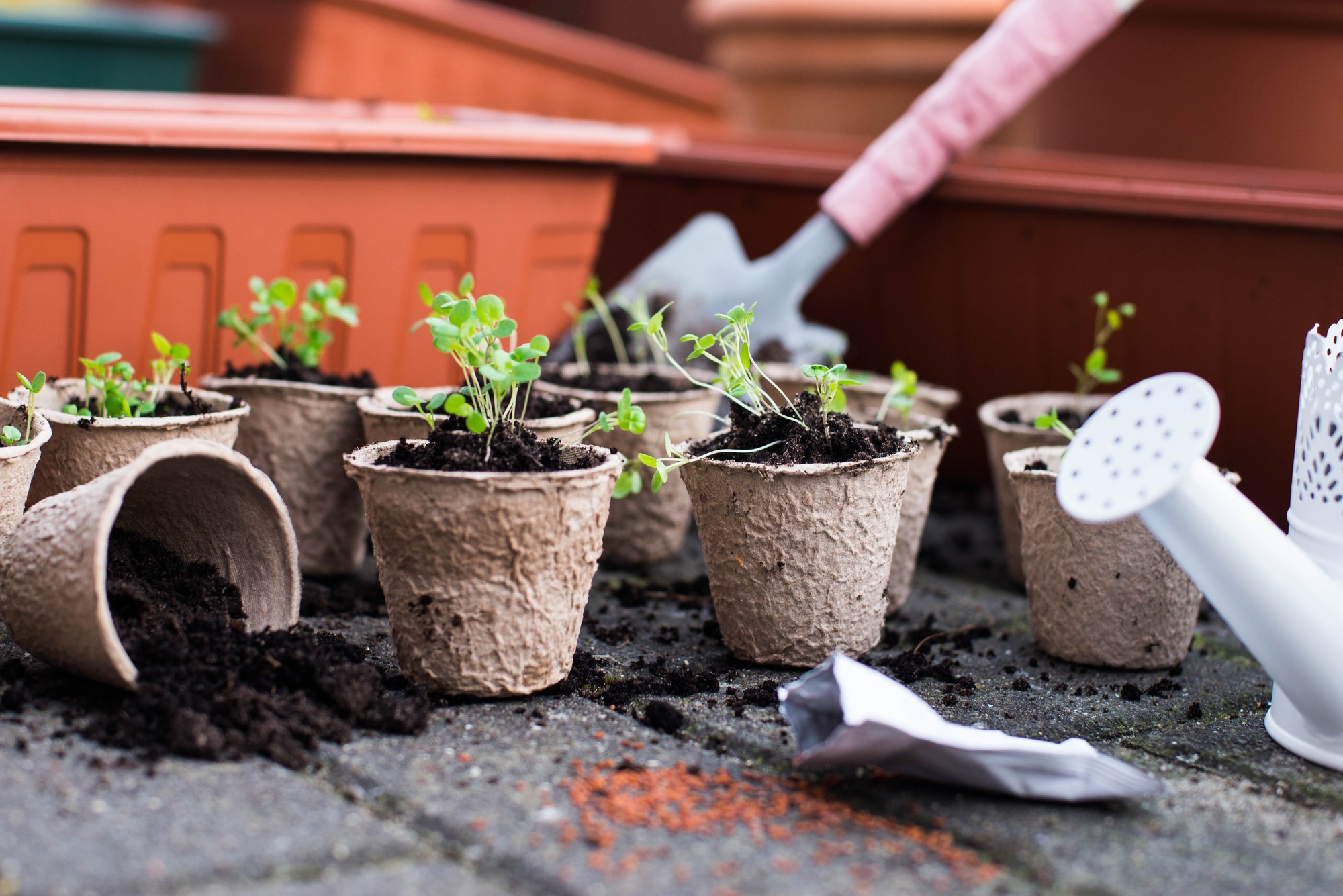 potting bench for gardening