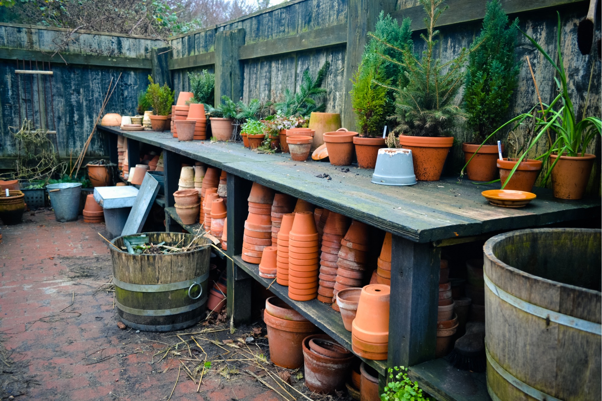 how to set up the perfect potting bench for backyard gardening