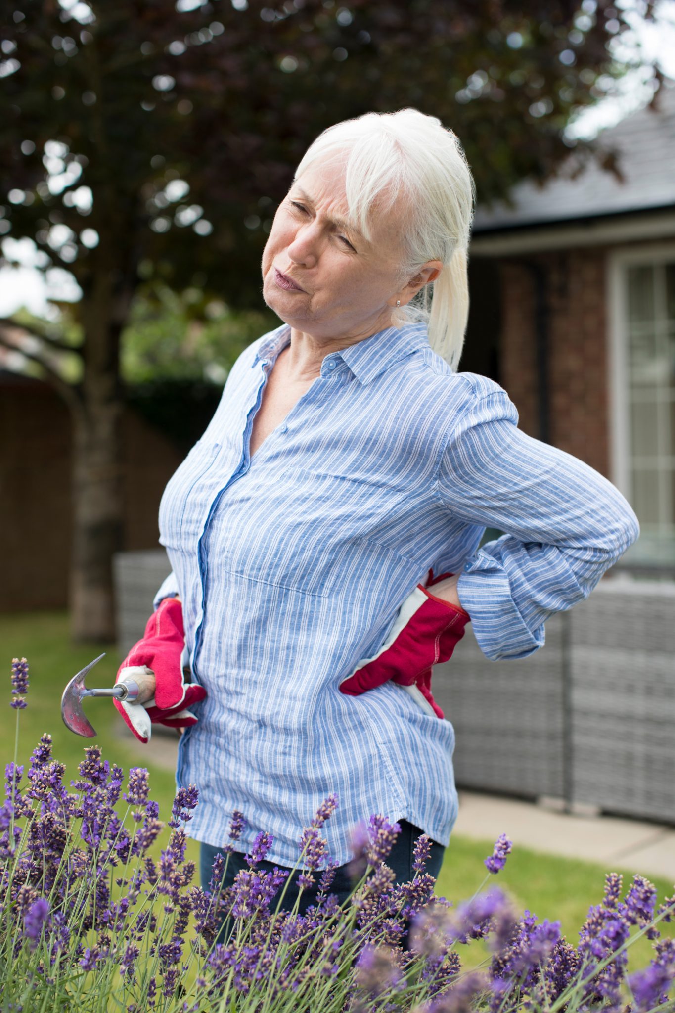 10 Tips to Avoid Back Pain from Gardening INSTALLITDIRECT