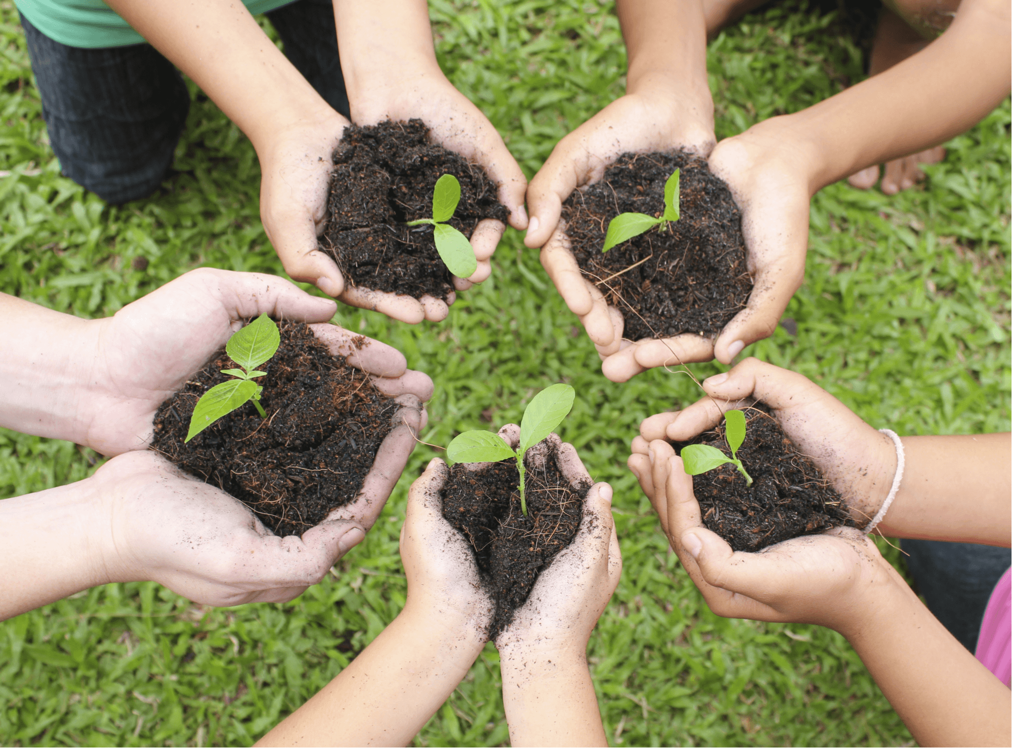 Hand Care Tips for Gardeners