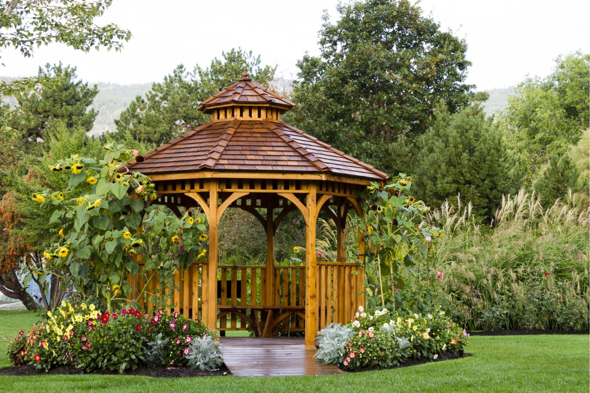 outdoor shade ideas