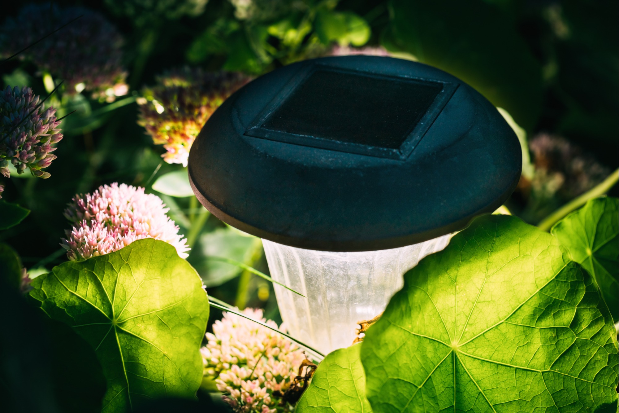 solar landscape lighting tips