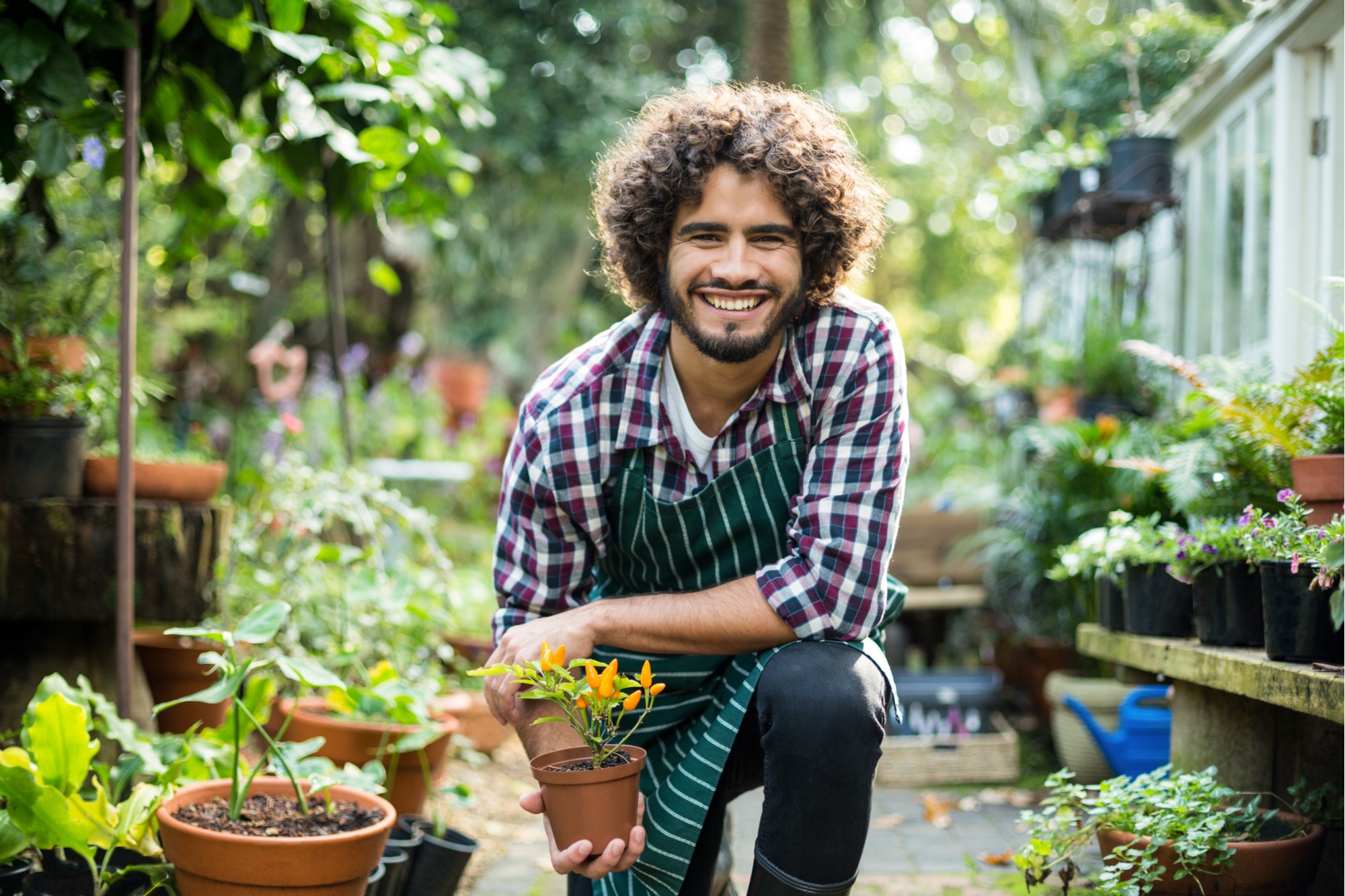 knee pain gardening tips