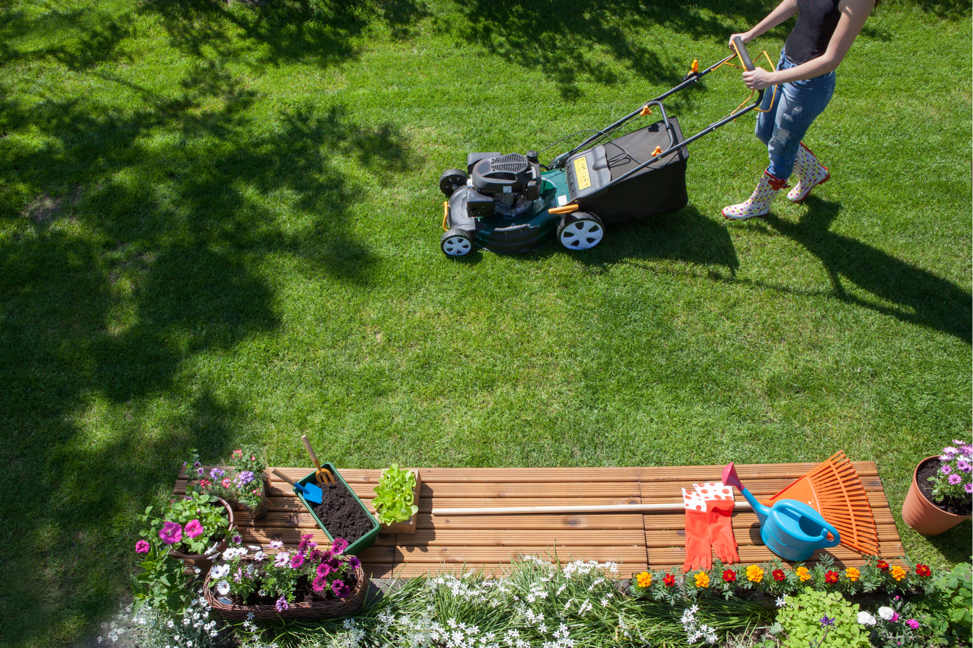 Tiny House Landscape ideas