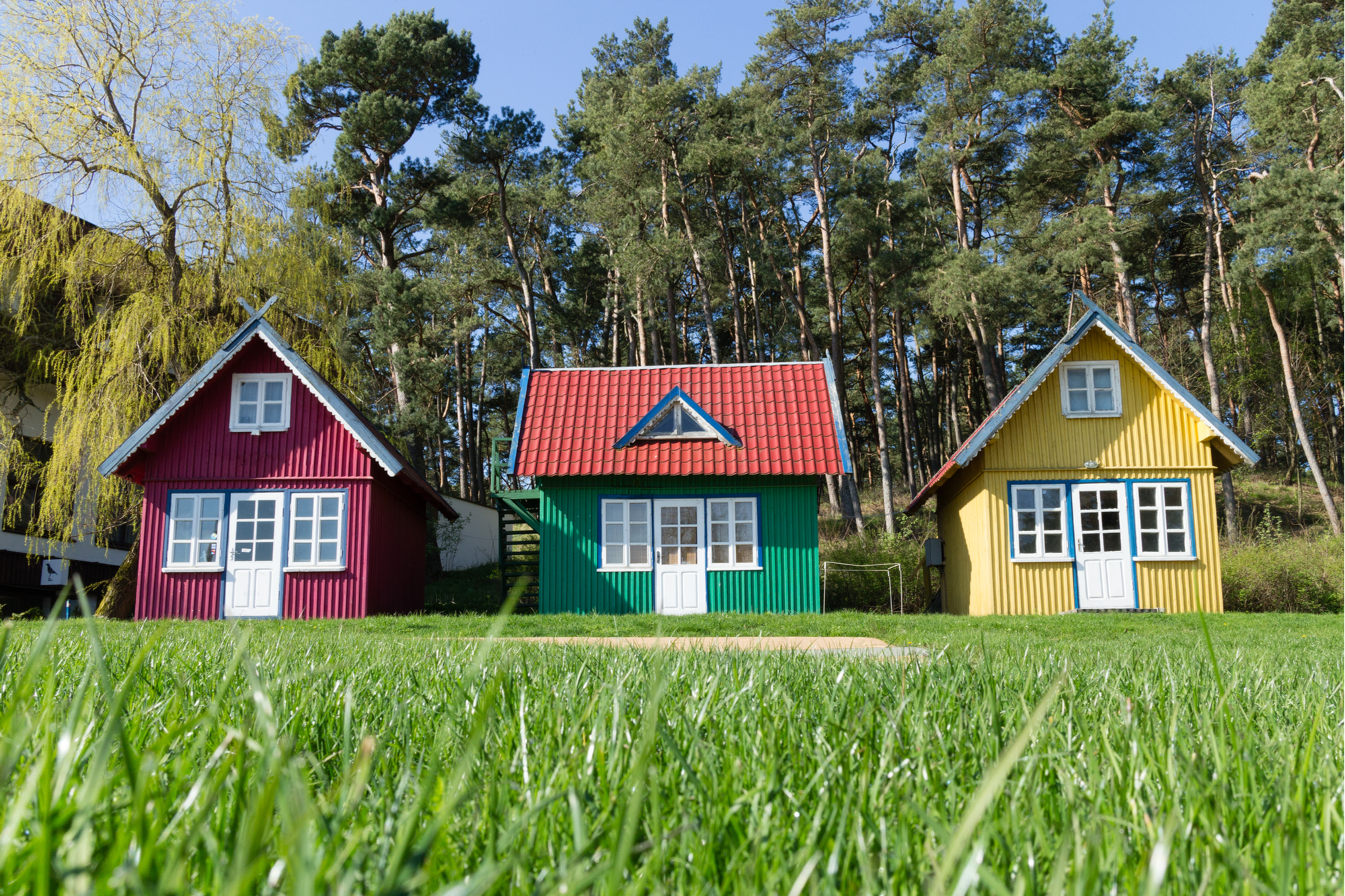 Tiny House Landscaping