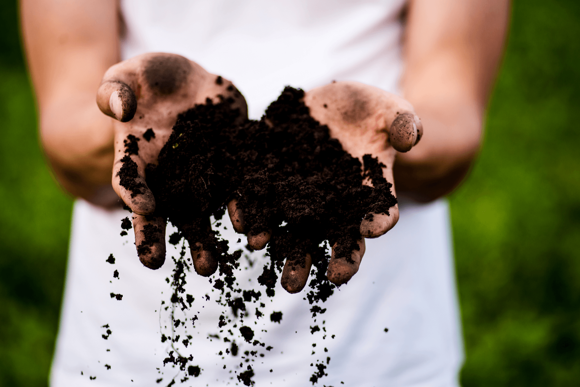 what is the difference between mulch and compost