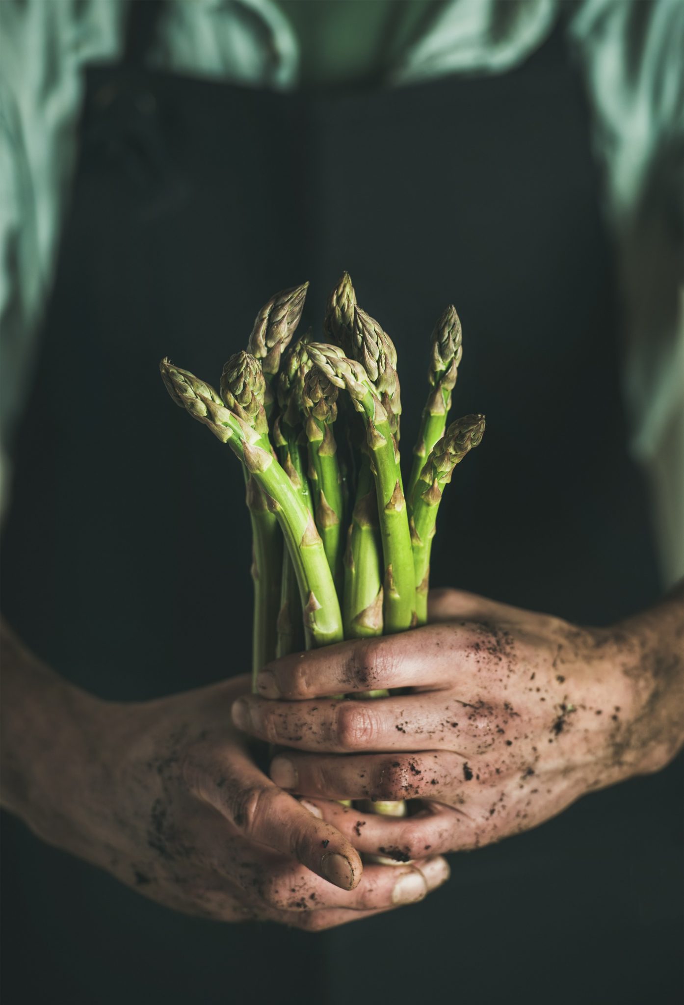 How to Grow Asparagus