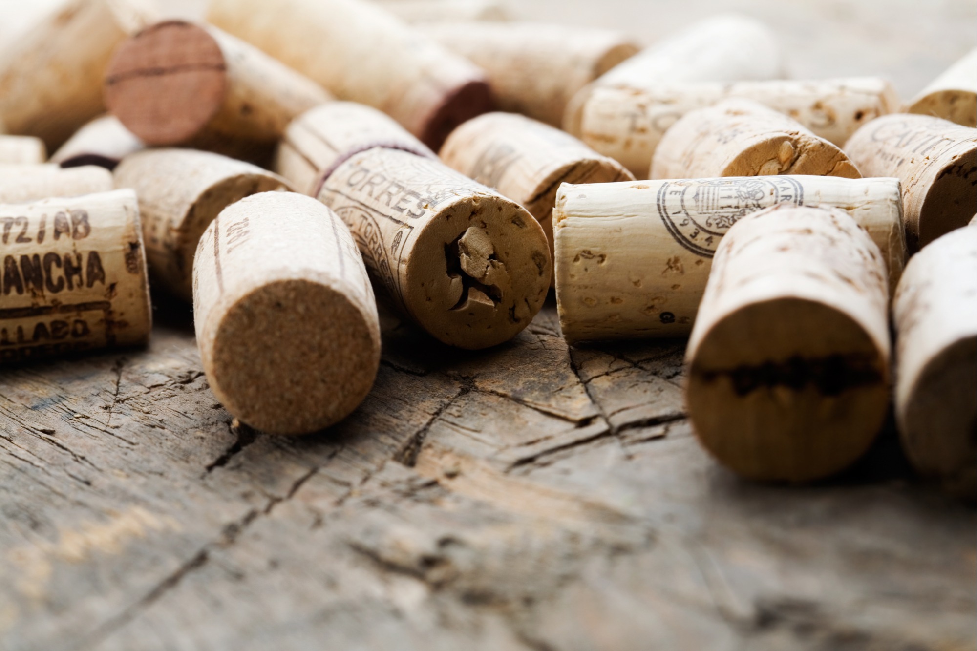 wine tasting party decor tips