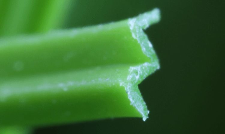 Artificial Grass Blade Shape W