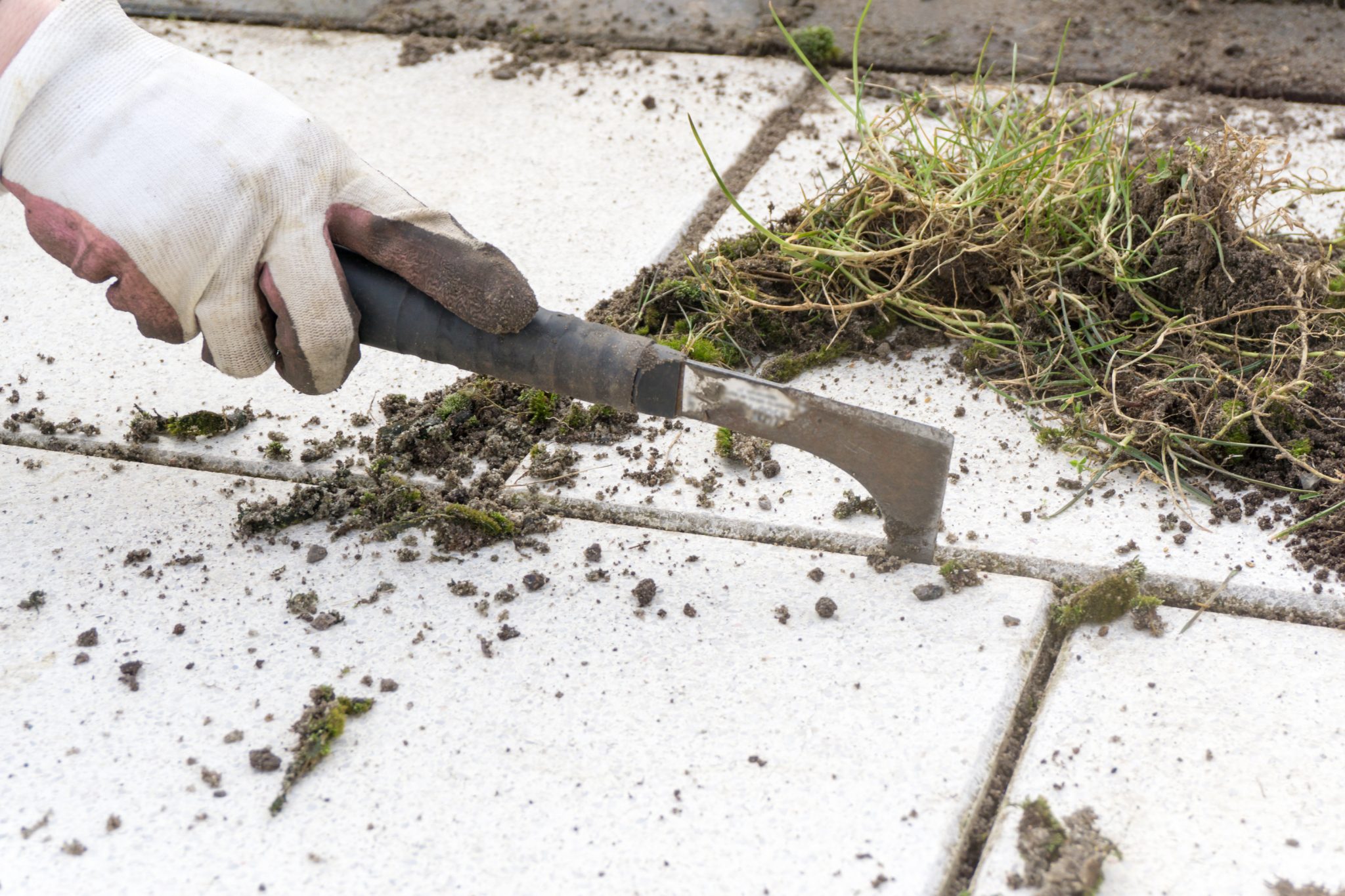 natural weed killer