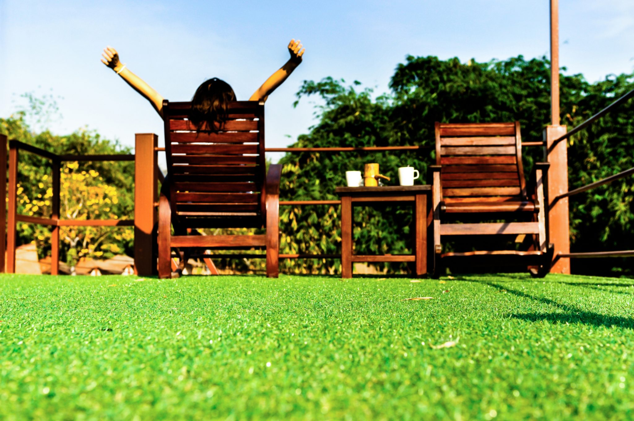 dormant grass