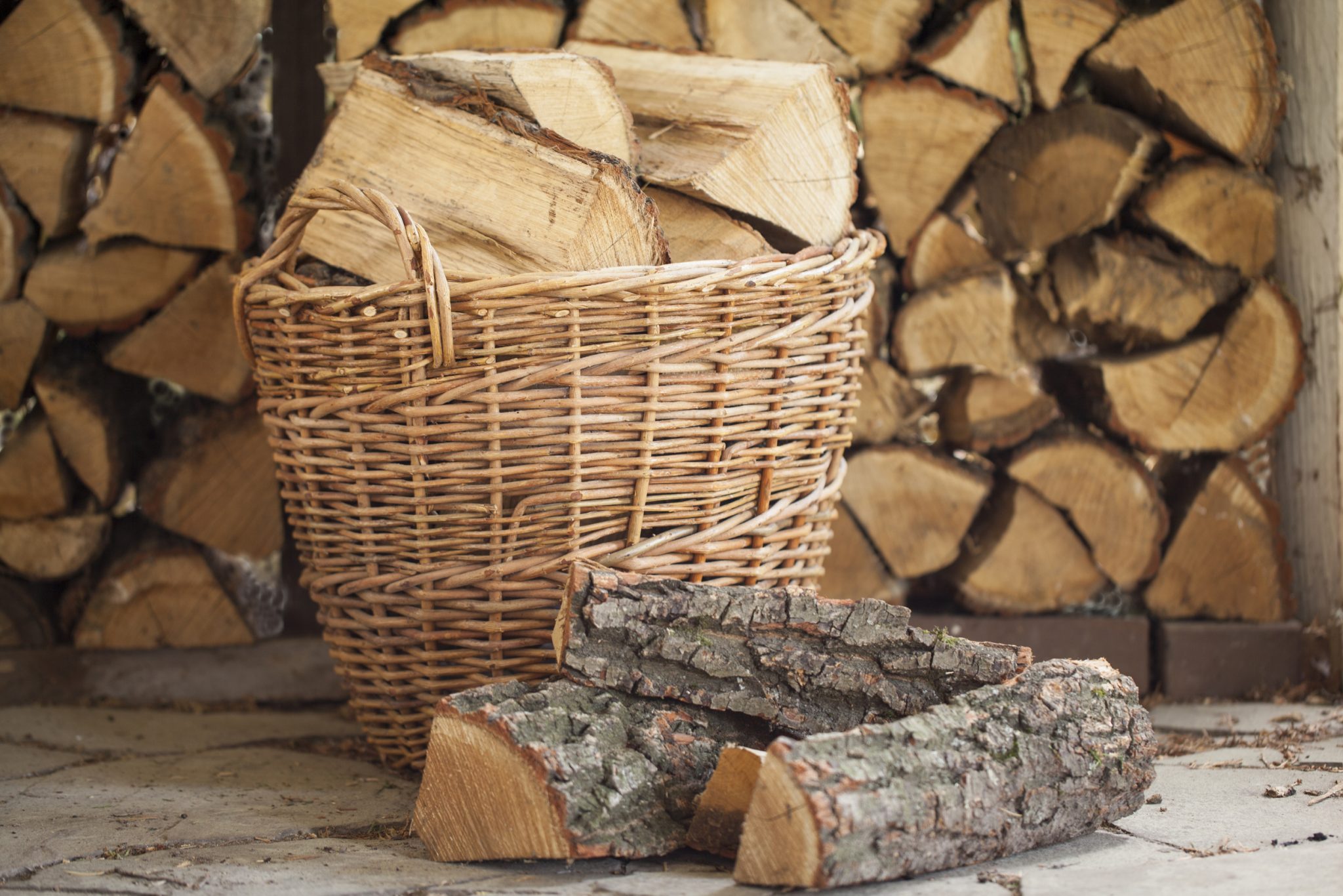 Best Firewood Options