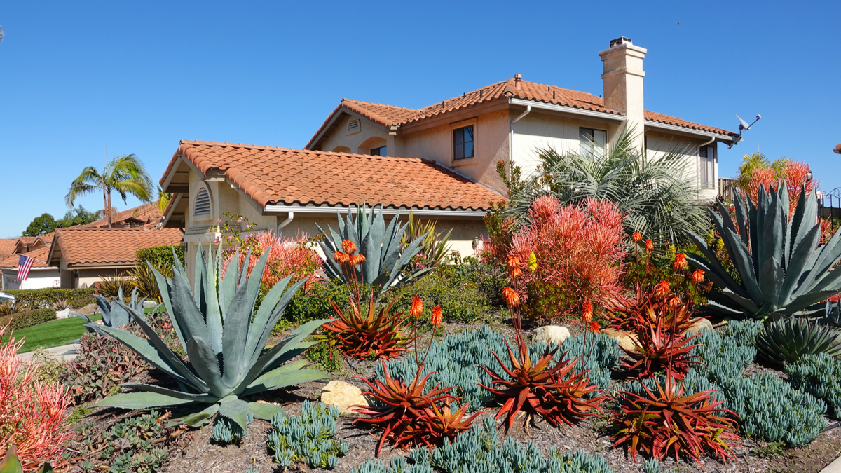 Save Water in Your Southern California Yard