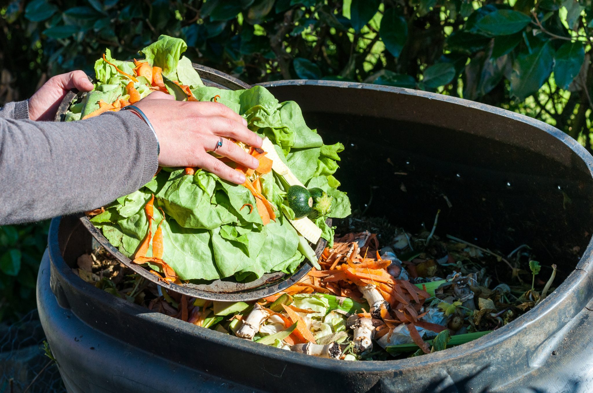 What is Compost