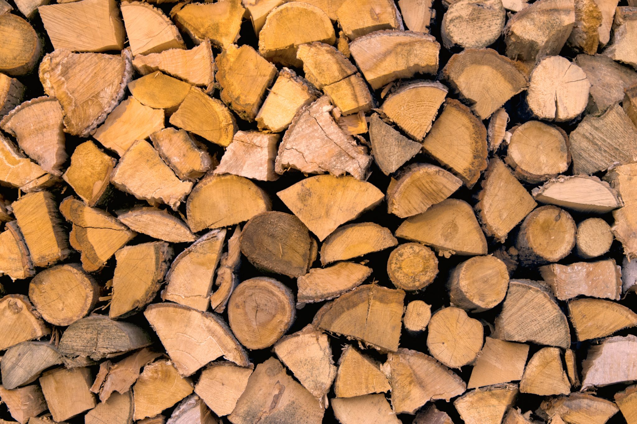 BBQ Wood Burner Kiln Dried Hardwood Under 20% Moisture. Chiminea Hardwood Kiln Dried Hornbeam Firewood Logs for fire Pit 20kg / Chunky Logs Perfect for Pizza Ovens Fire Pits