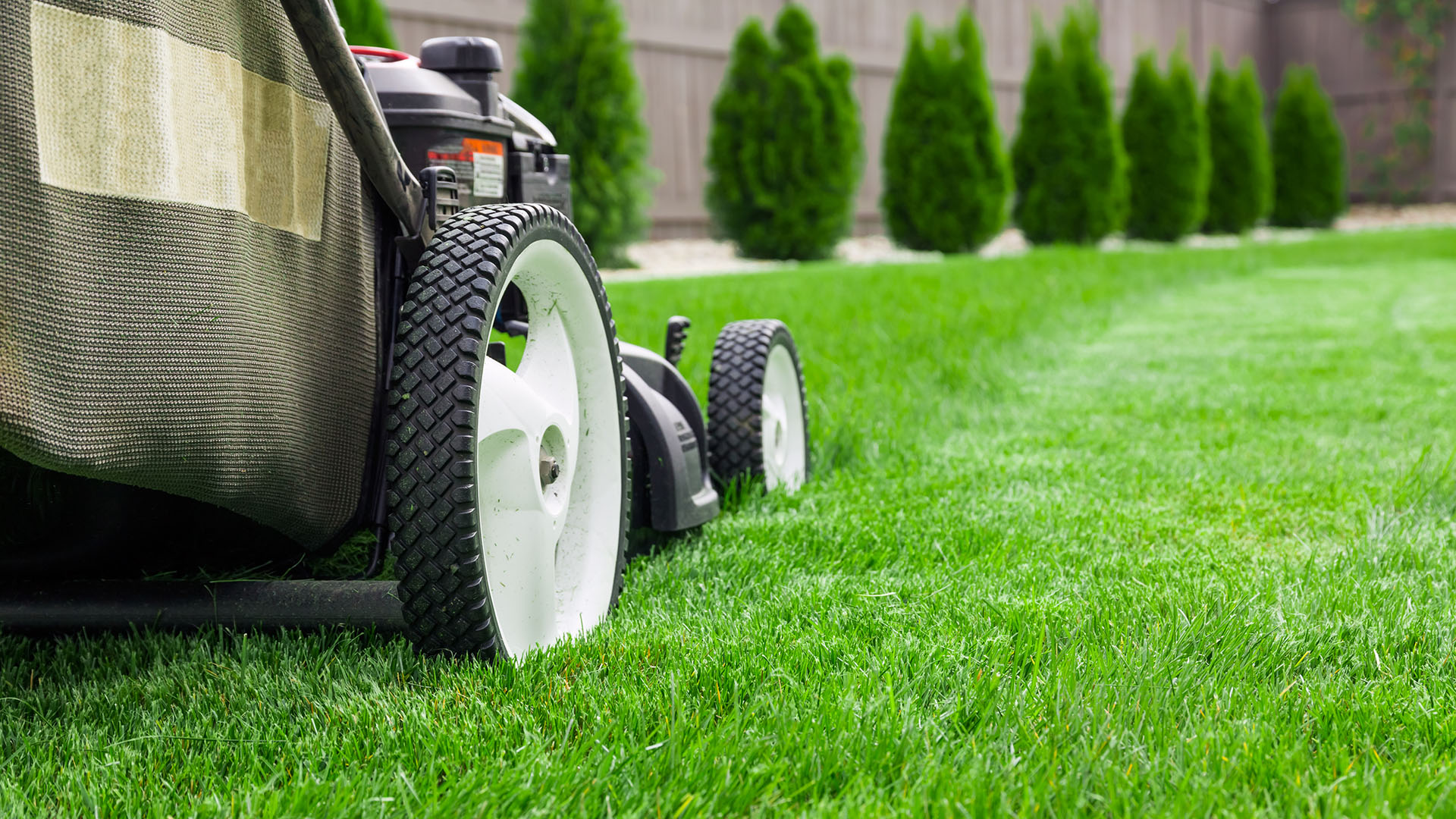 best lawn maintenance
