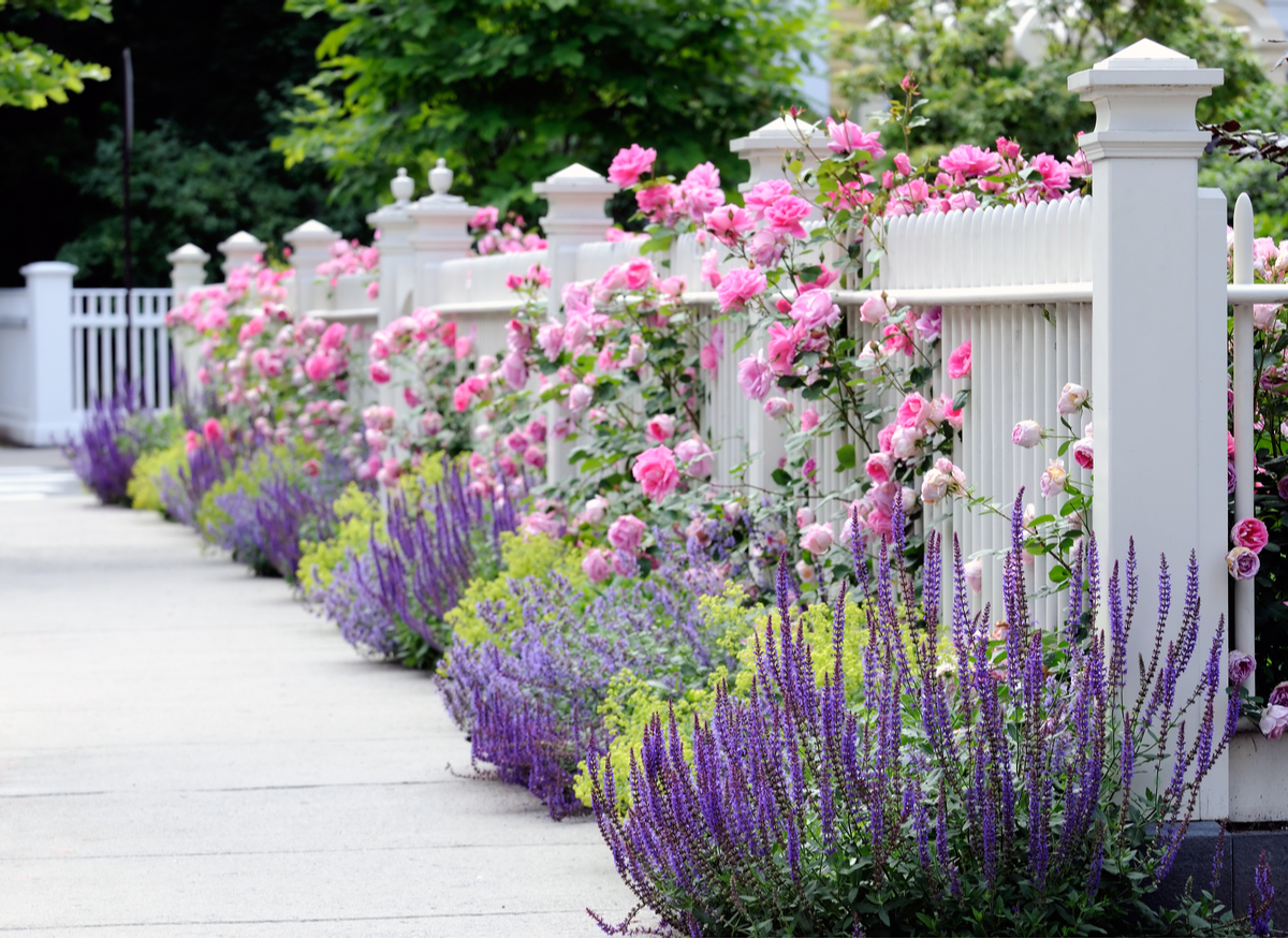 Colorful Sidewalk Border Flower Bed