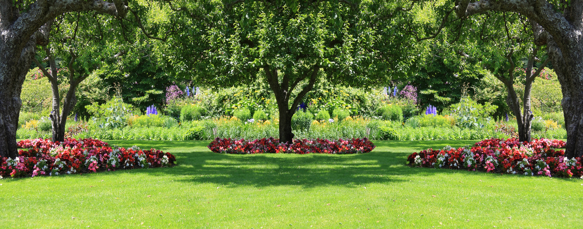 Shade Gardens Around Trees
