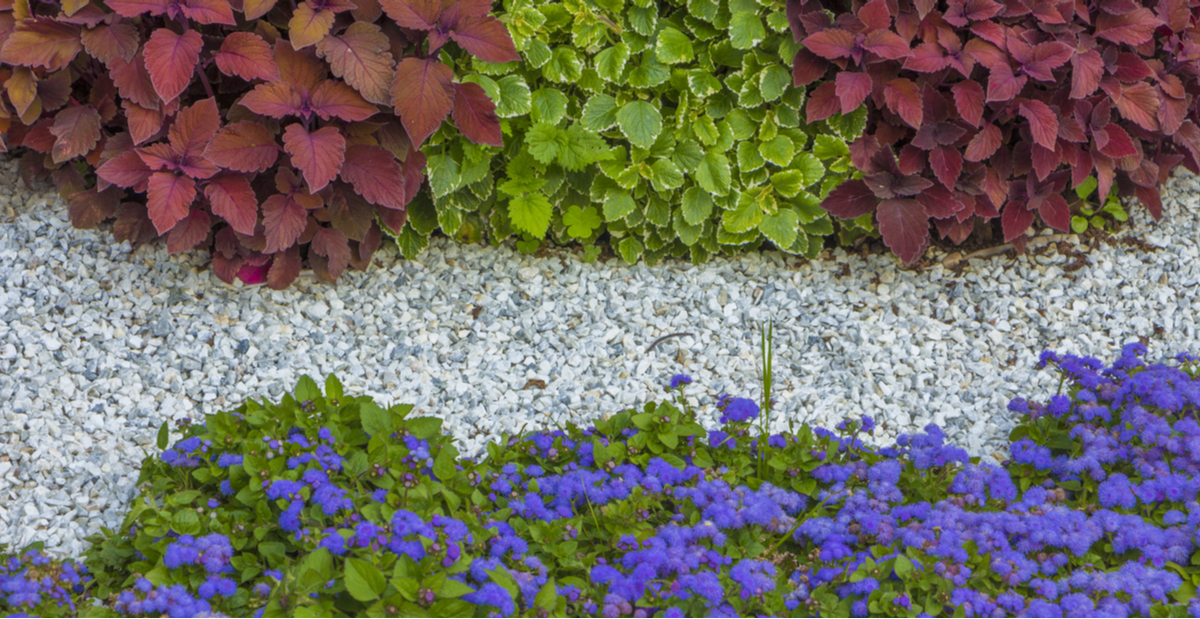 Walkway Border Flower Bed