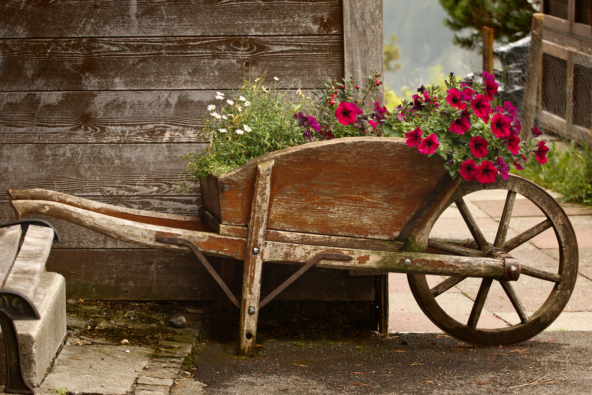 Wheelbarrow Flower Bed