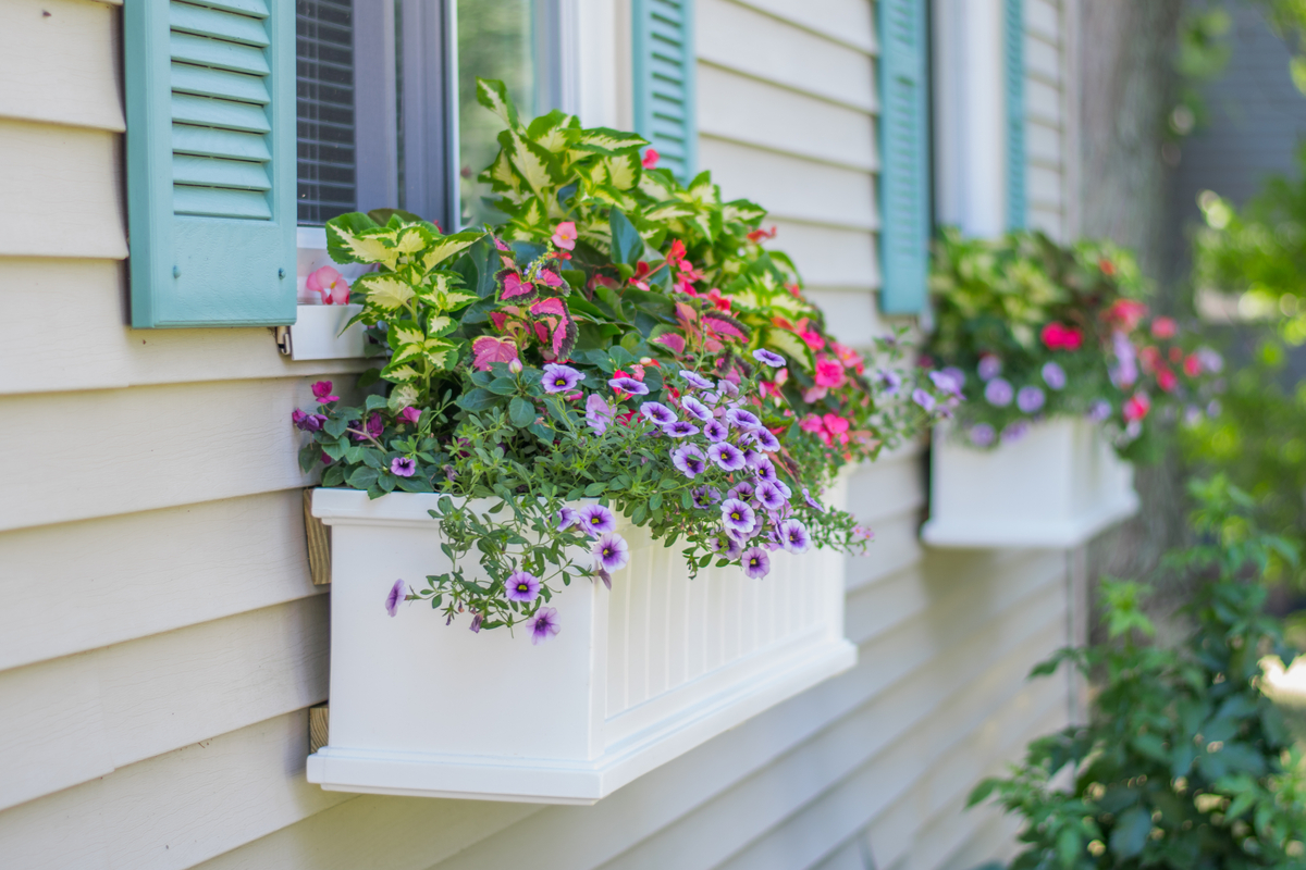 Window Boxes Flower Bed