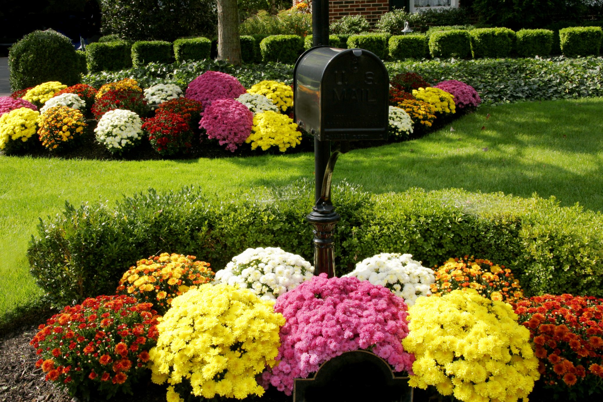 flower bed ideas