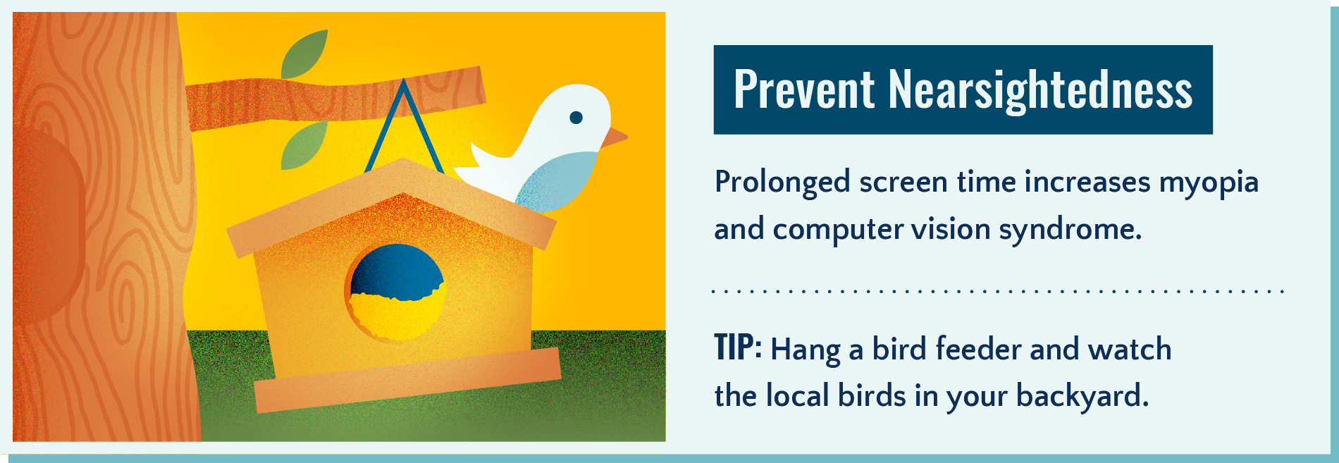 Spending time outside looking at far away objects can help prevent nearsightedness.
