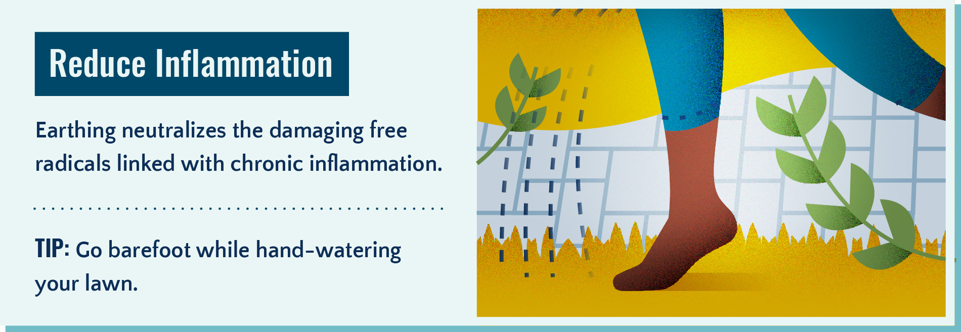 Earthing helps reduce inflammation