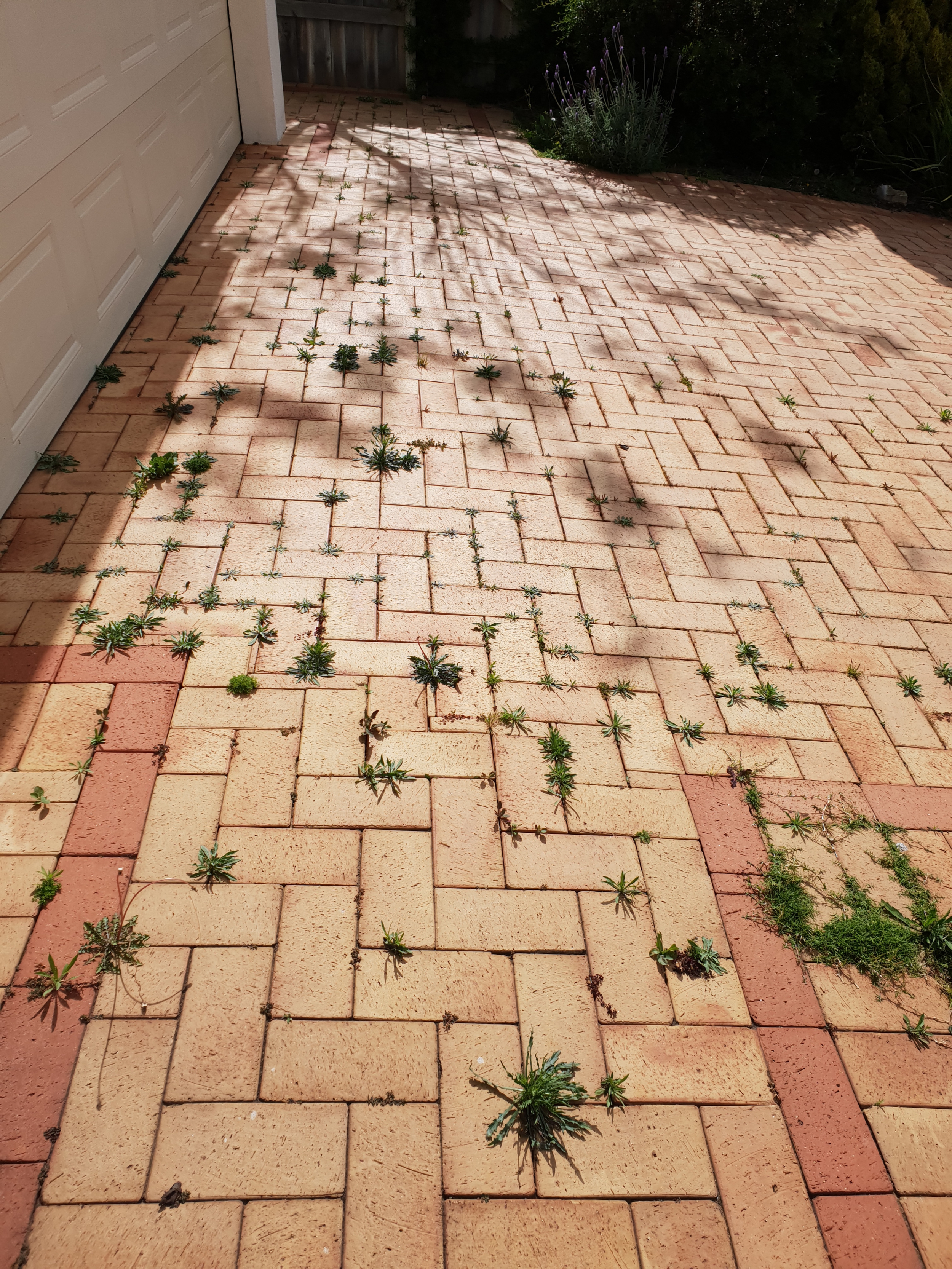 Remove Weeds Between Pavers Ideas