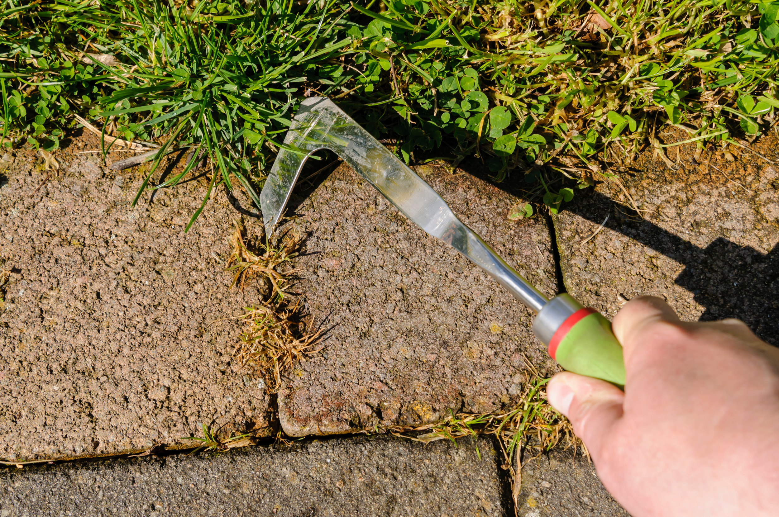 Remove Weeds Between Pavers