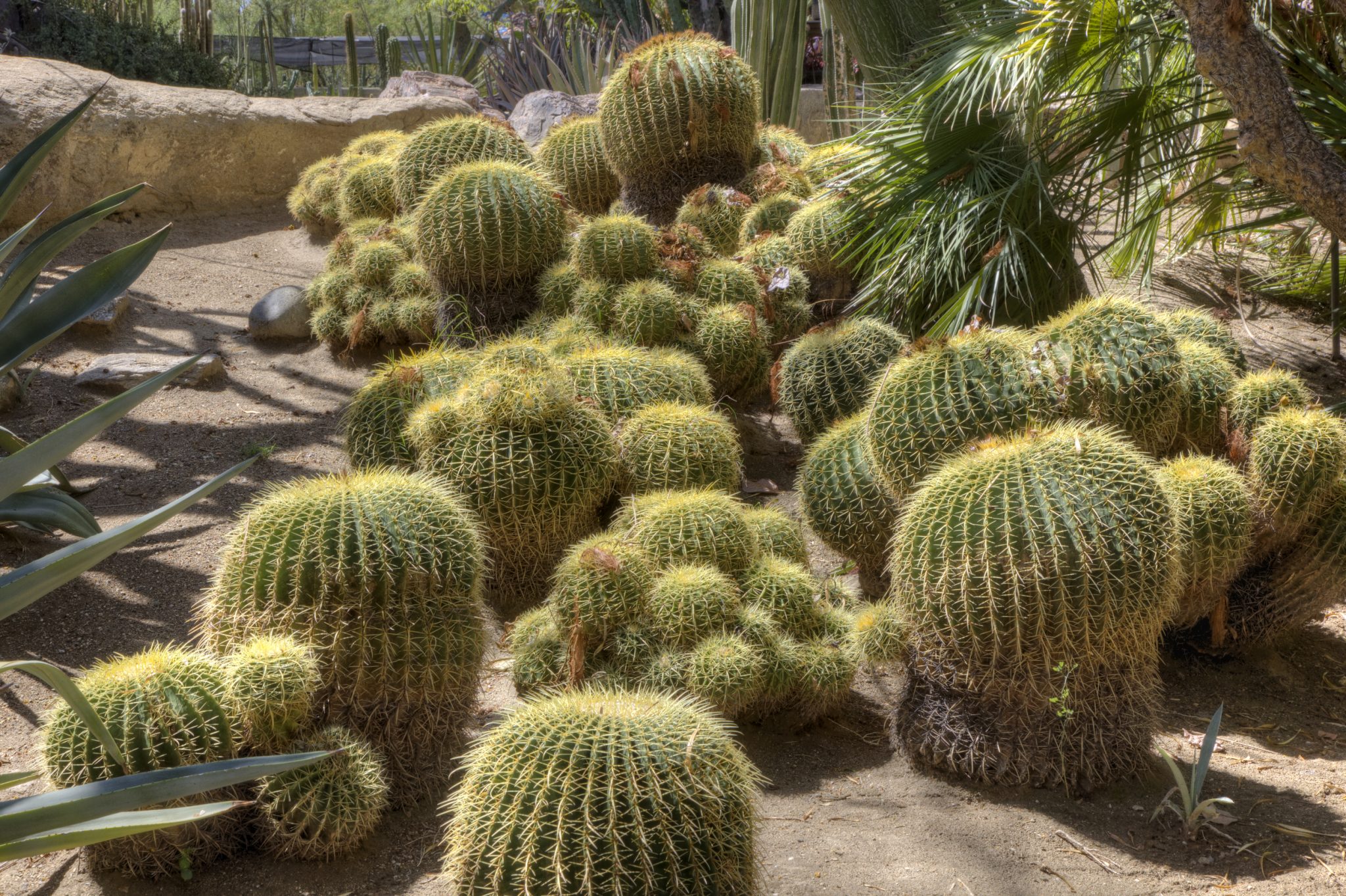 オレンジ郡の植物園