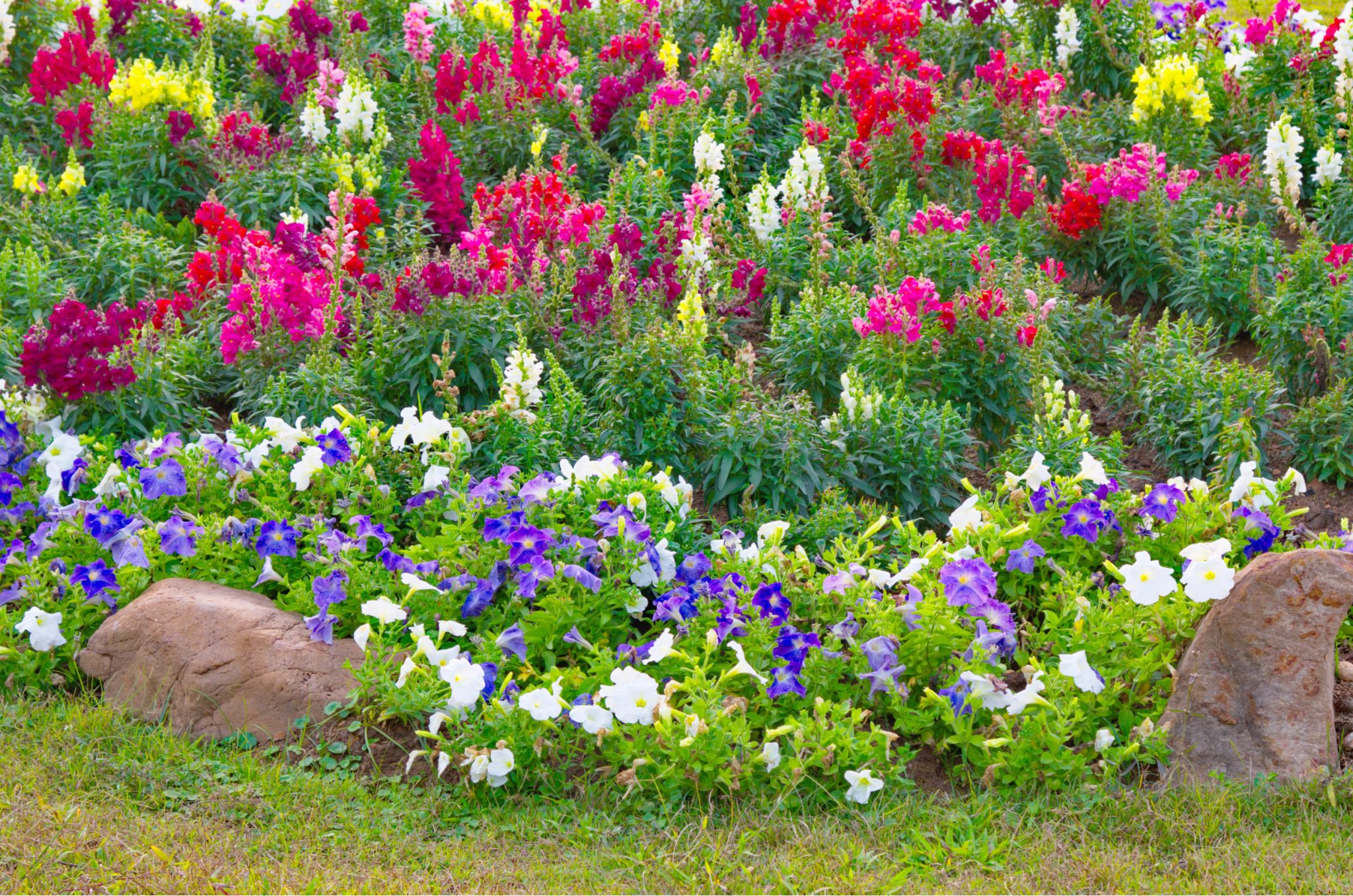 botanical gardens in california