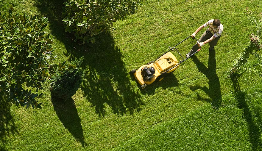 Aerial view of person mowing a lawn