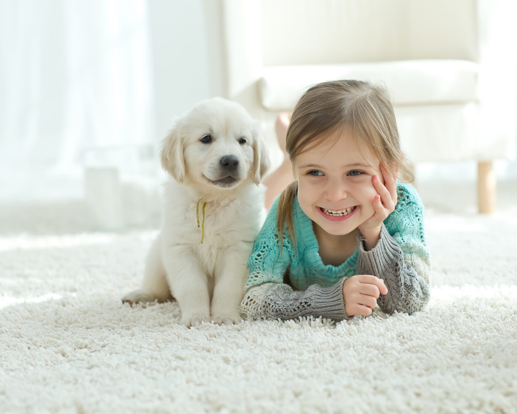 How to Remove Urine Odor from Carpet