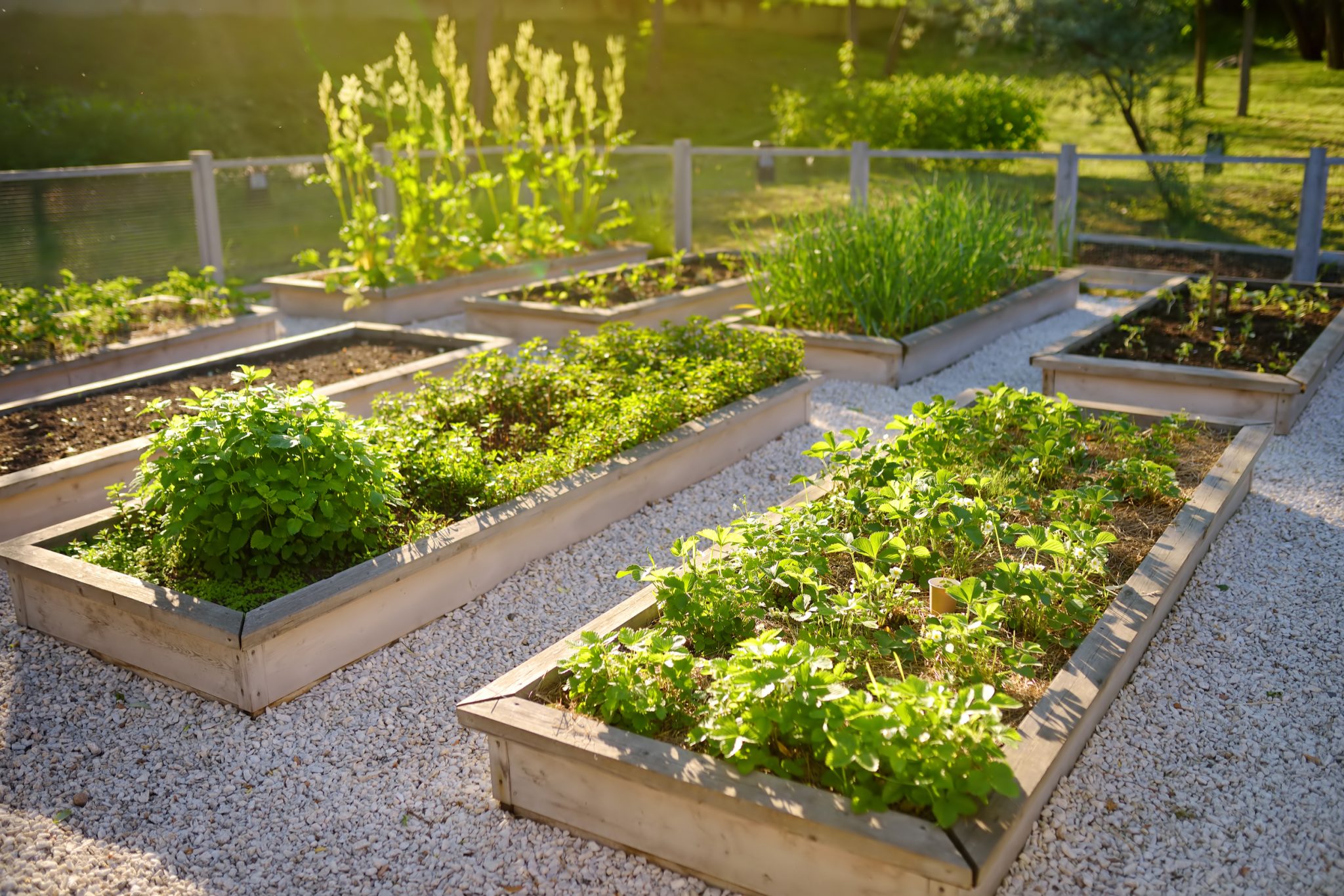 How to Raised Garden Bed