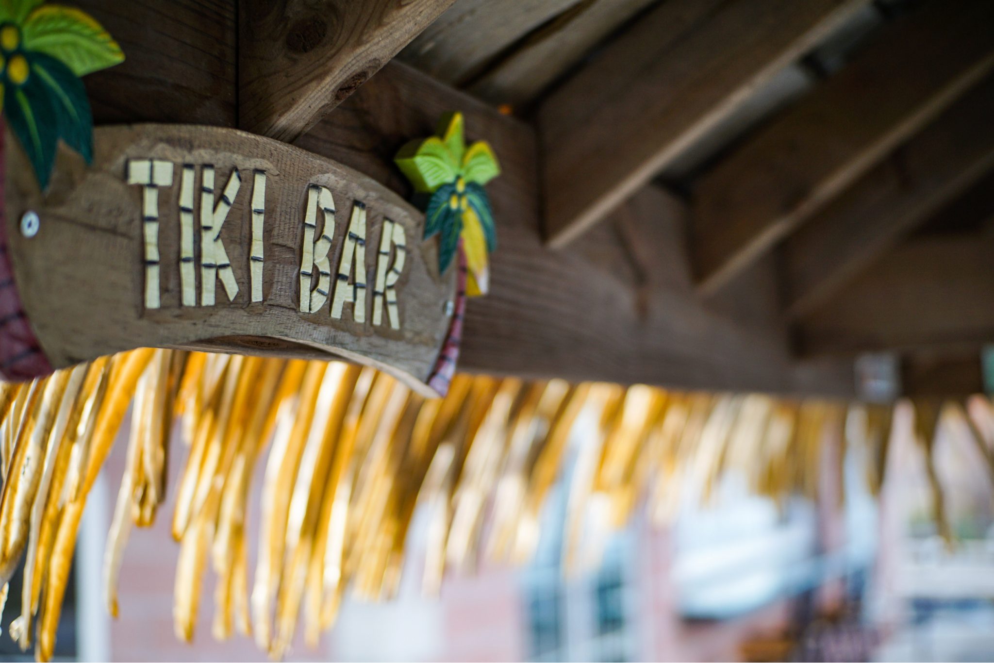 Backyard Bar Ideas Pictures