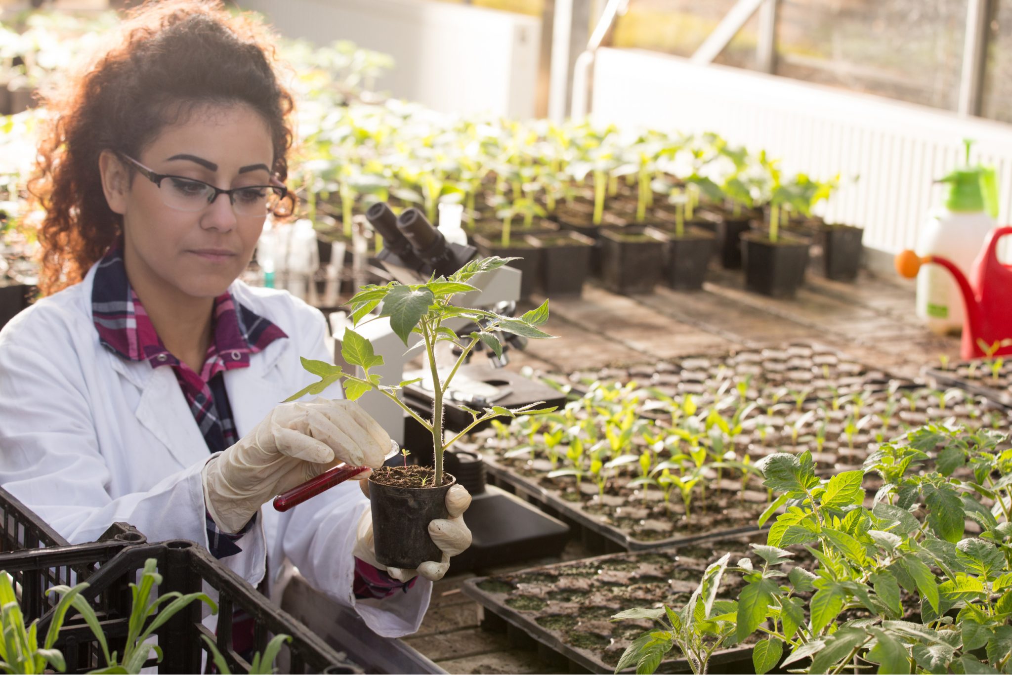 Become a Master Gardener