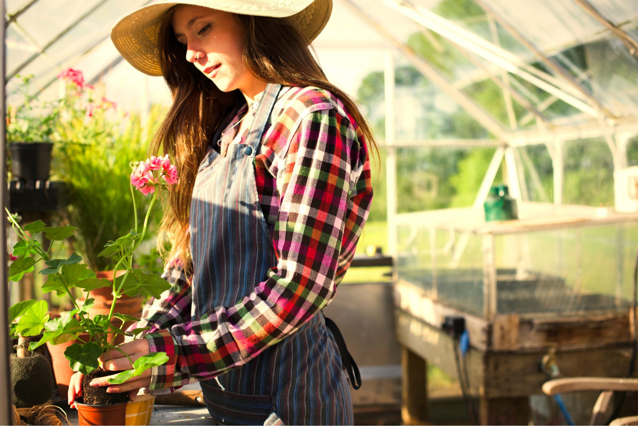 DIY Greenhouse