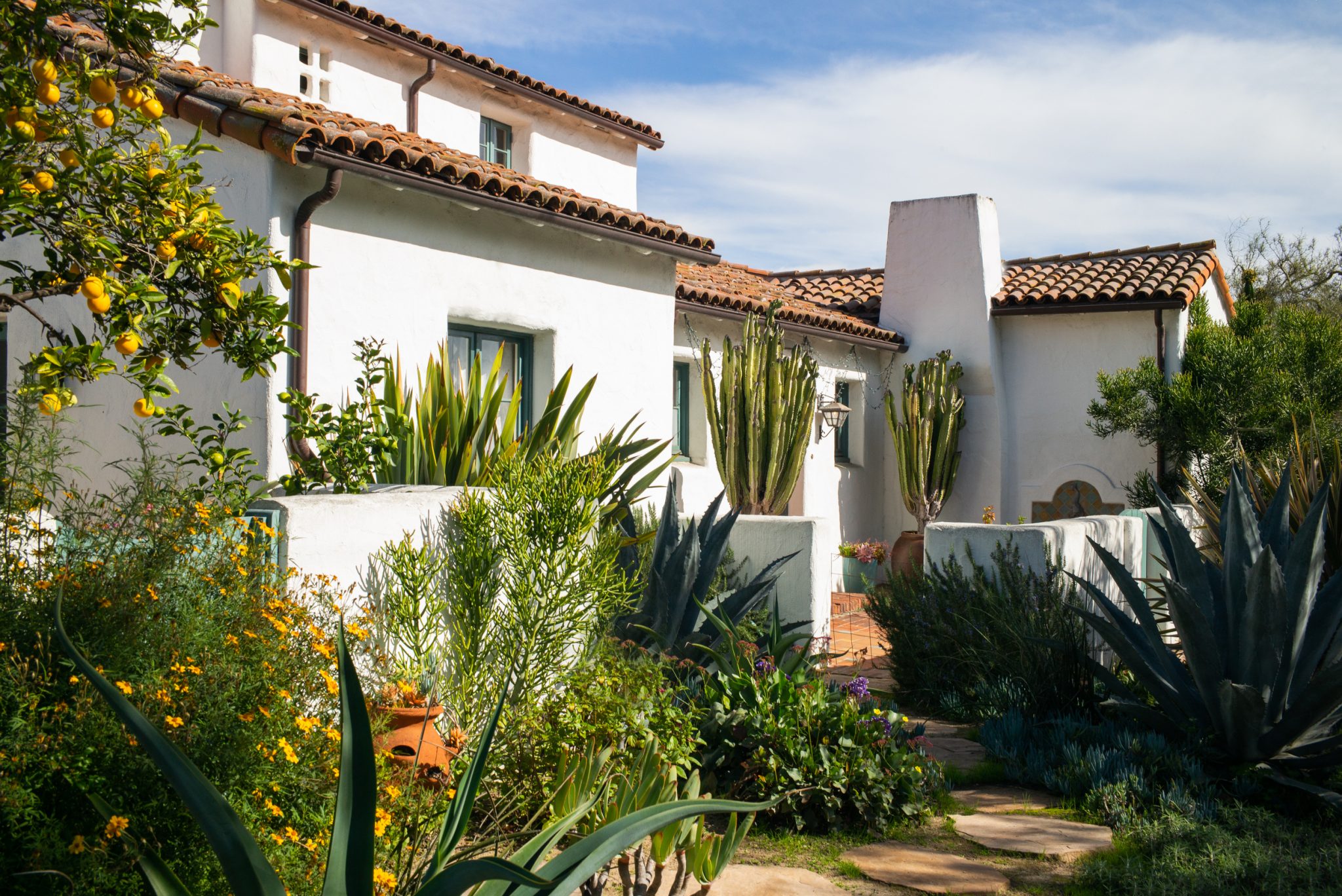 How to Grow a Natural Yard