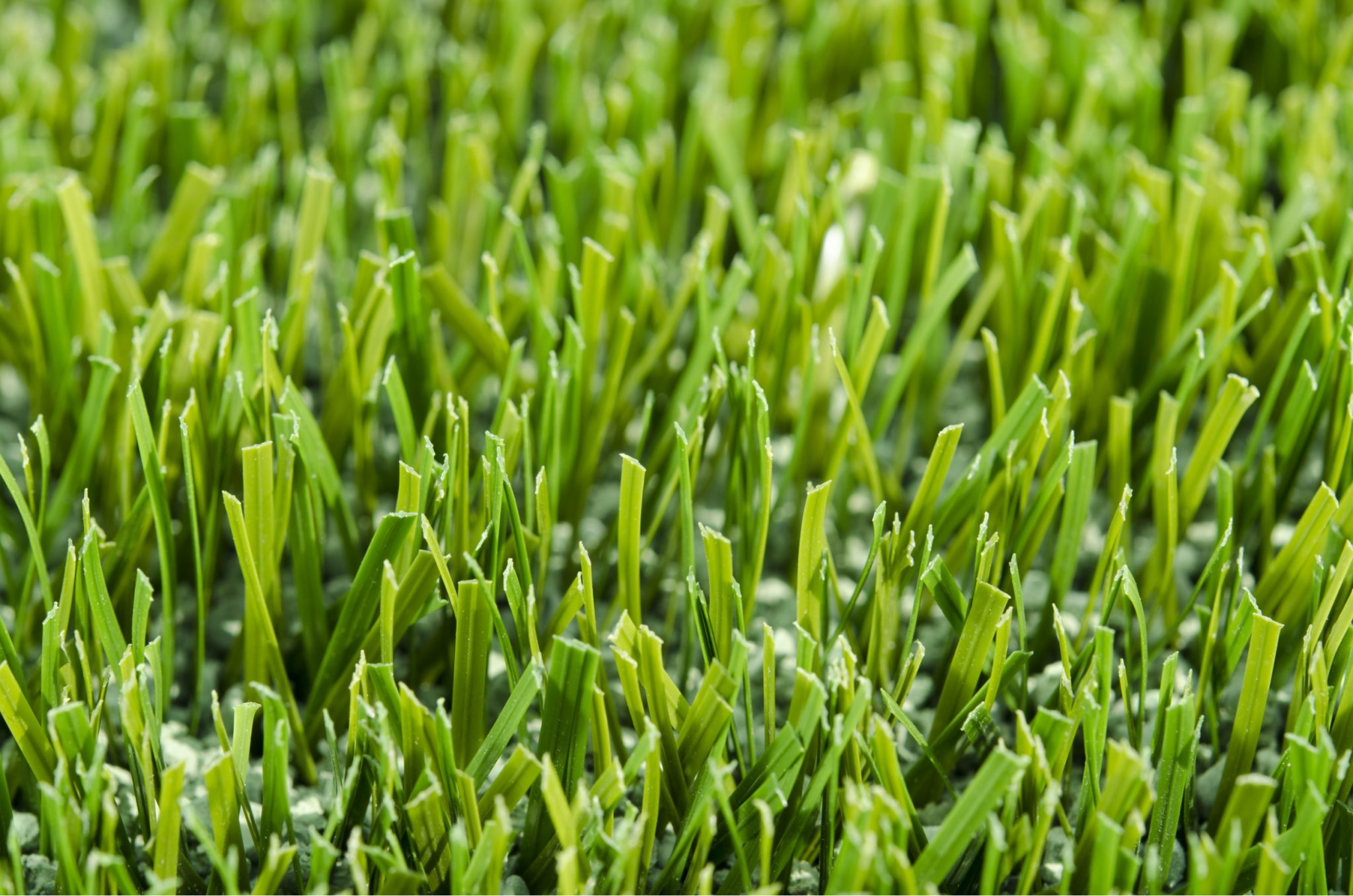 How to Rebloom Artificial Grass
