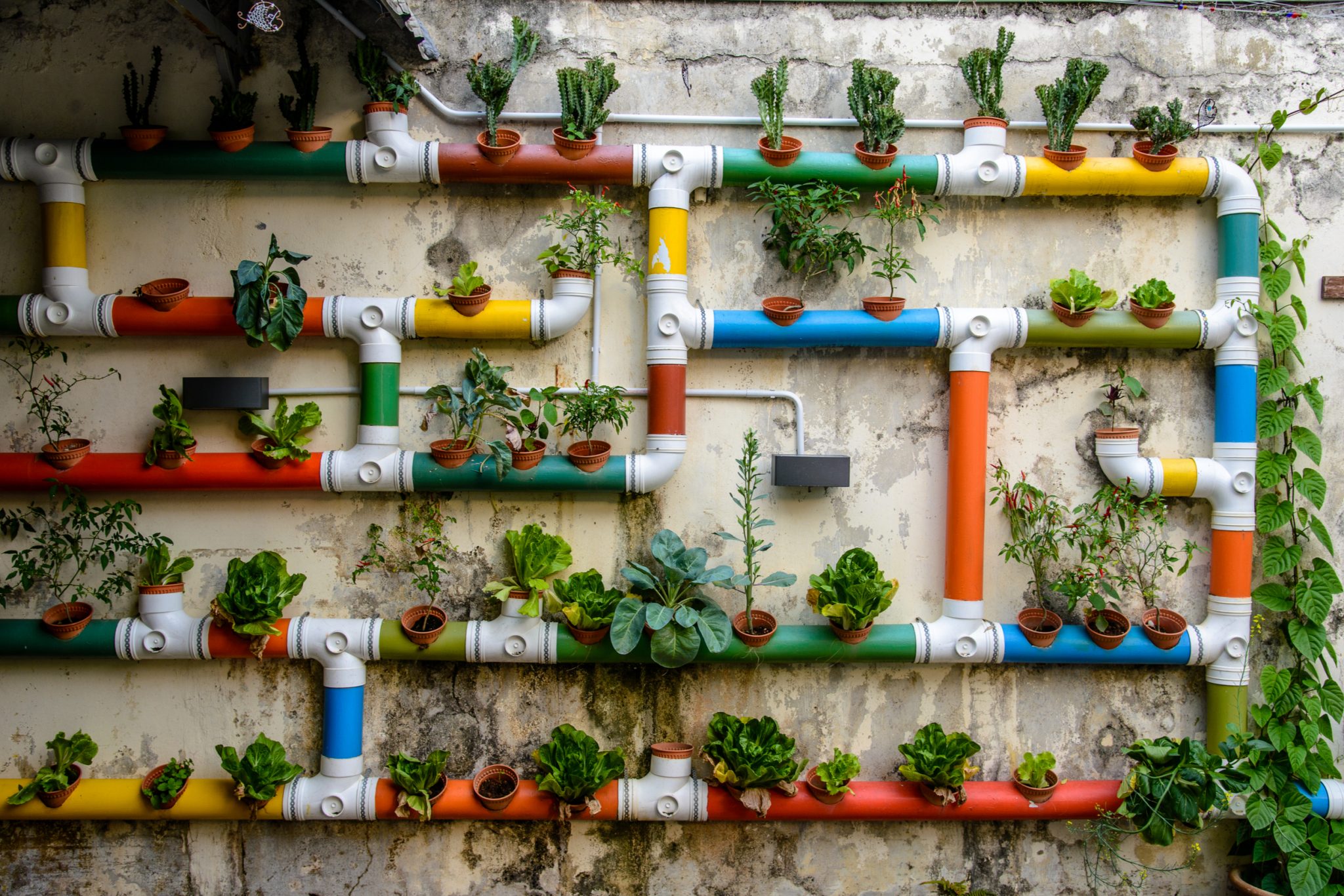 urban gardening guide