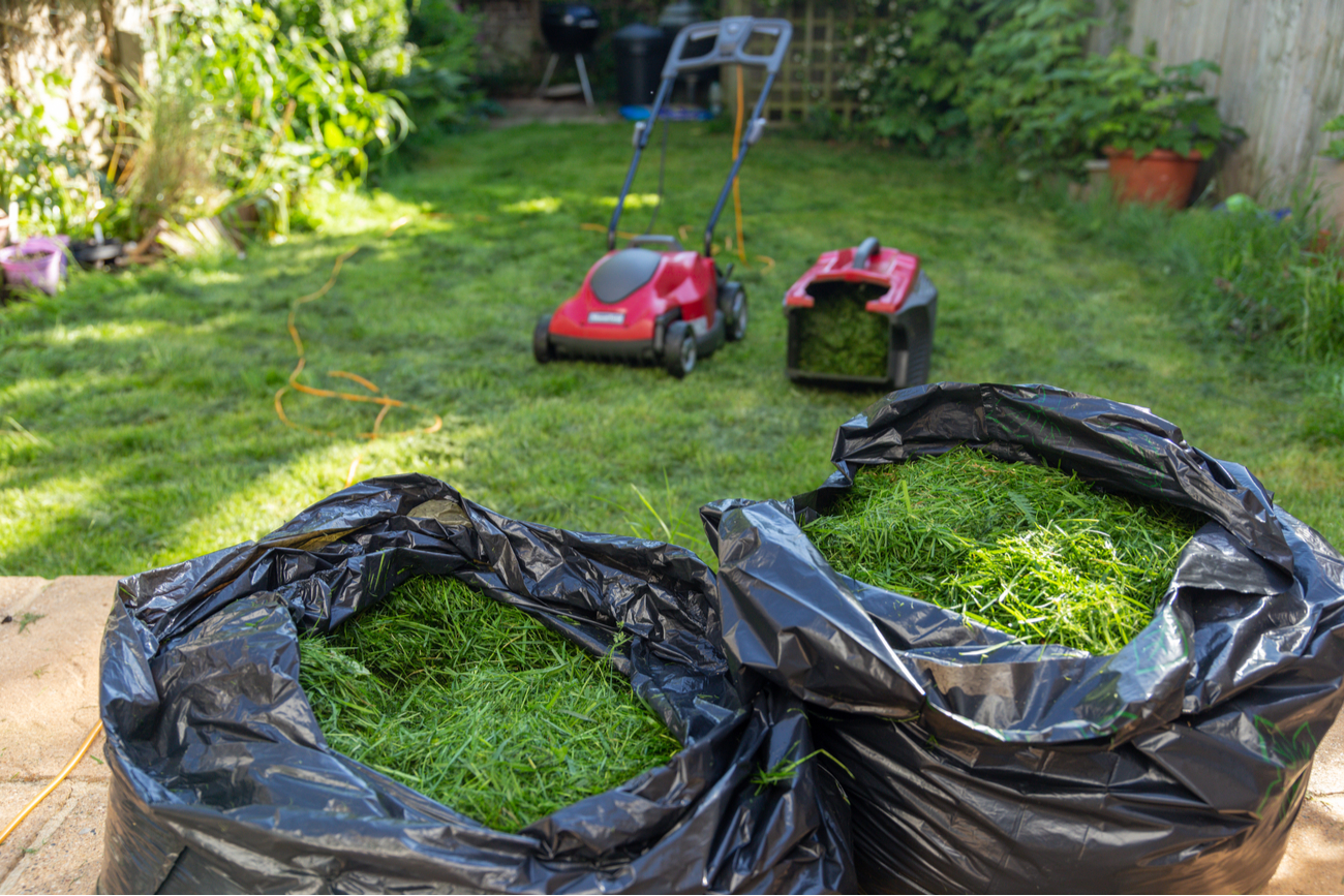 Artificial Grass Benefits Environment