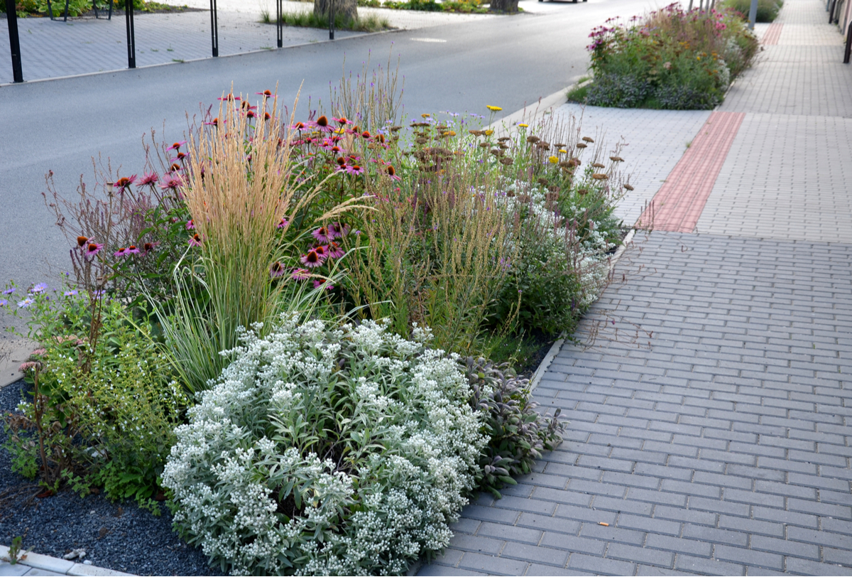 Front Yard Landscaping Ideas Curbside Easements
