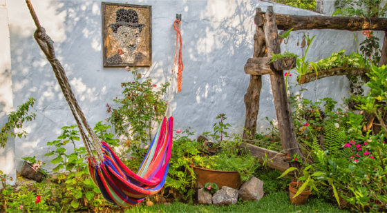 hammock