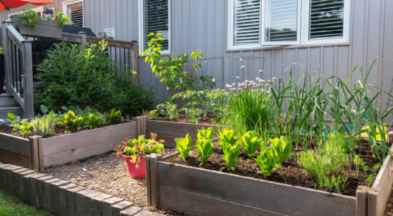 garden greenery